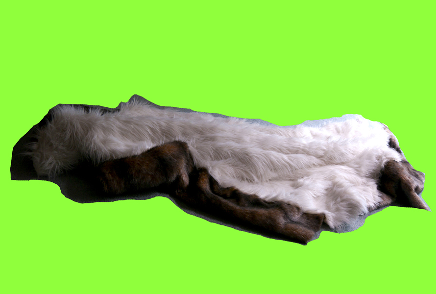 Ghost River GIR :: GIR An Excessive Storyboard