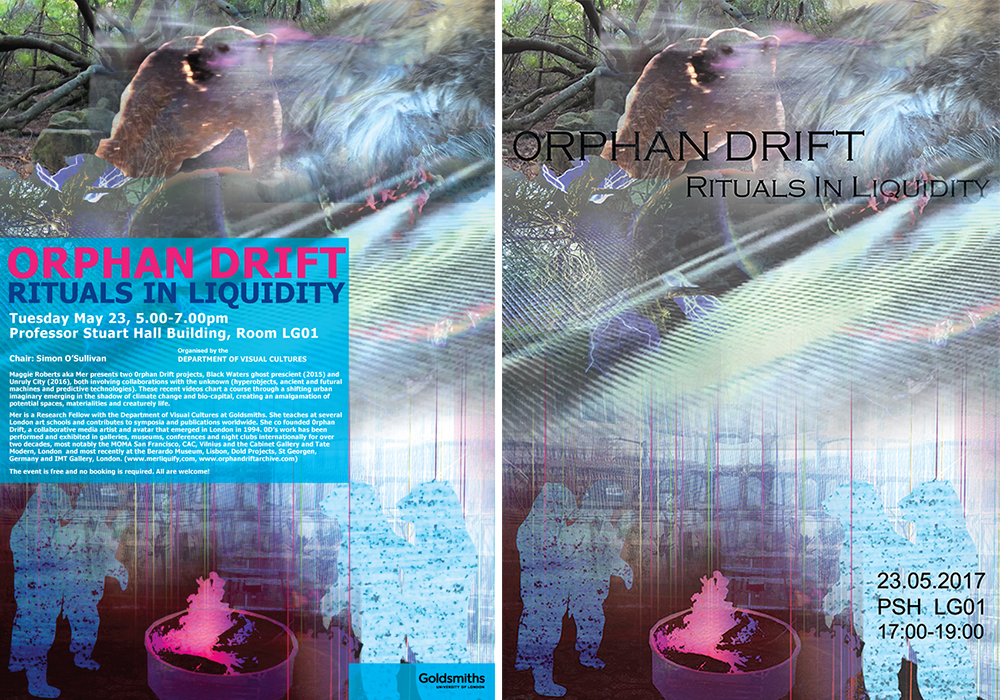 Rituals in Liquidity Poster